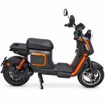 Factory direct sales of electric vehicle X25 Lite lead-acid battery/lithium battery electric vehicle